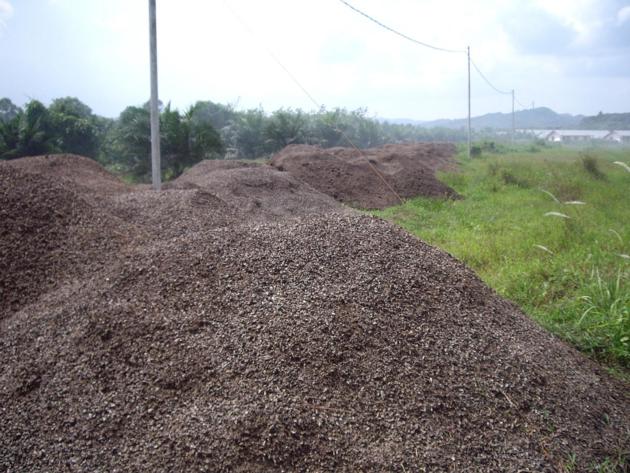 Palm Kernel Shell