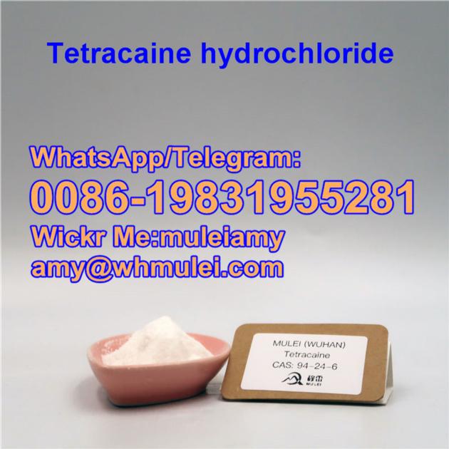 Tetracaine Hydrochloride 136 47 0 Tetracaine
