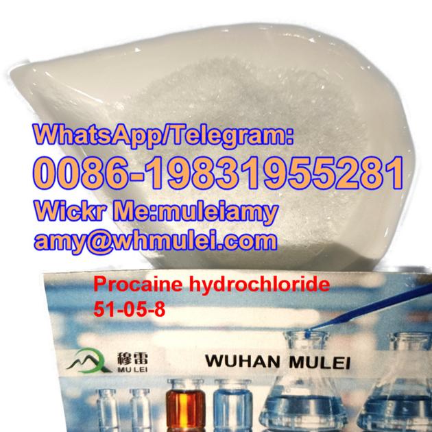 Procaine HCL Factory Procaine Hcl Powder
