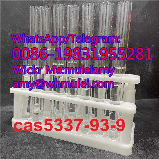  5337-93-9 supplier,4-Methylpropiophenone price,5337-93-9,cas5337939,Whatsapp:0086-19831955281