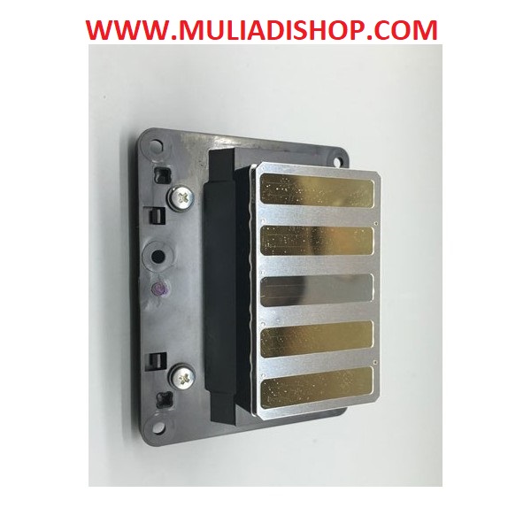 Epson PRO 11880C Printhead-F179010/F179000 (ORIGINAL)