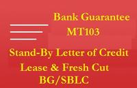 Providers of Fresh Cut BG, SBLC and MTN