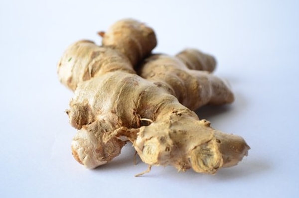 Indian Ginger