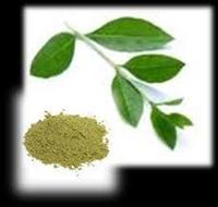Heena Products