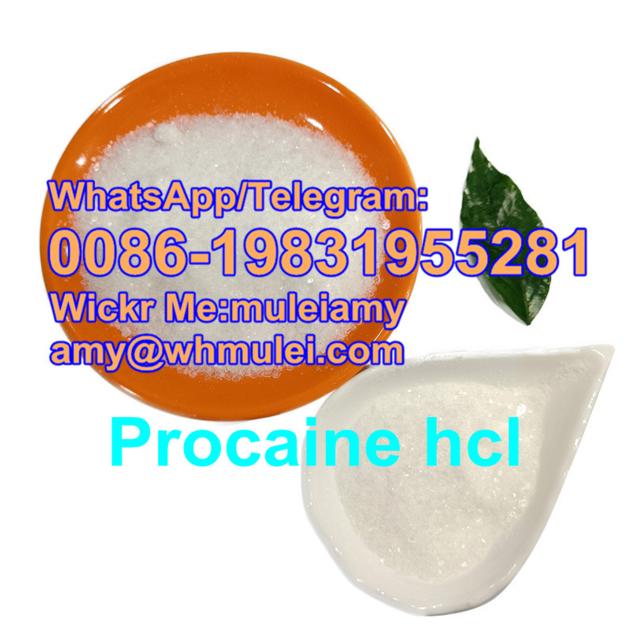 Procaine HCL Factory Procaine Hcl Powder