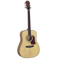 Acoustic Guitar