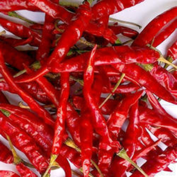 Indian Dry Red Chilli