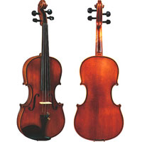 Violin