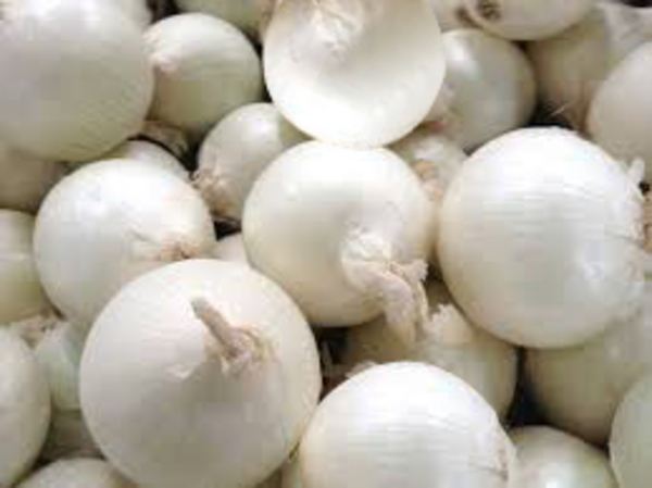 Indian Onion