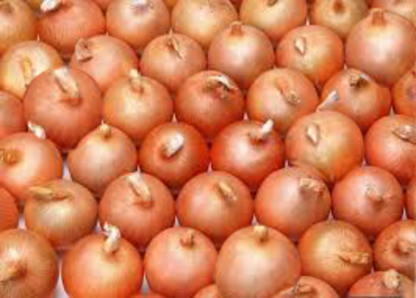 Indian Onion