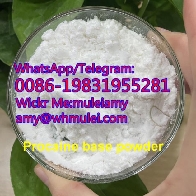  Procaine cas59-46-1,procaine base 59 46 1,procaine base,Whatsapp:0086-19831955281,Wickr Me:muleiamy