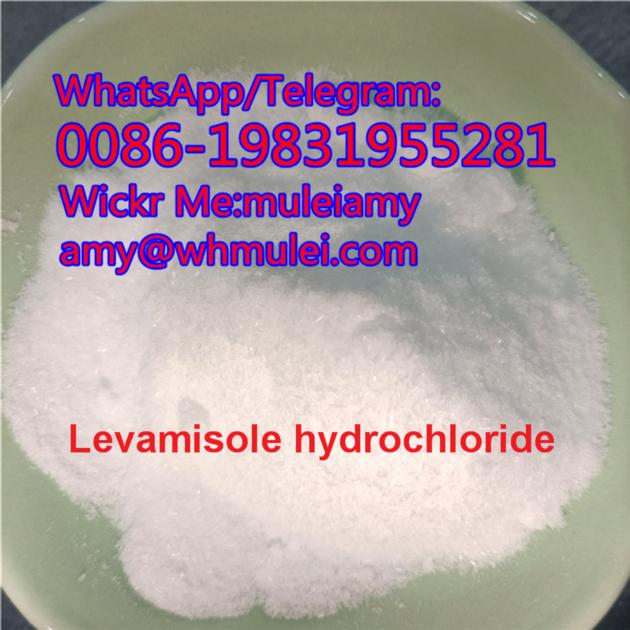 Levamisole powder 99% purity,levamisole powder,levamisole hcl supplier,Whatsapp:0086-19831955281,Wic