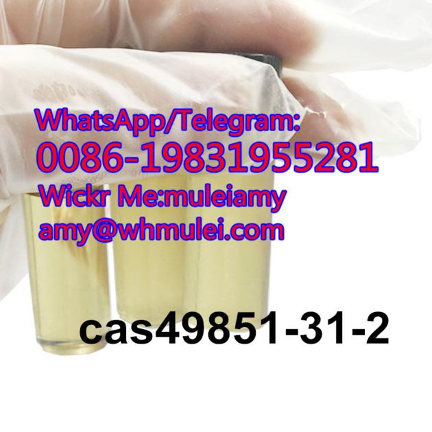 49851 31 2 49851 31 2