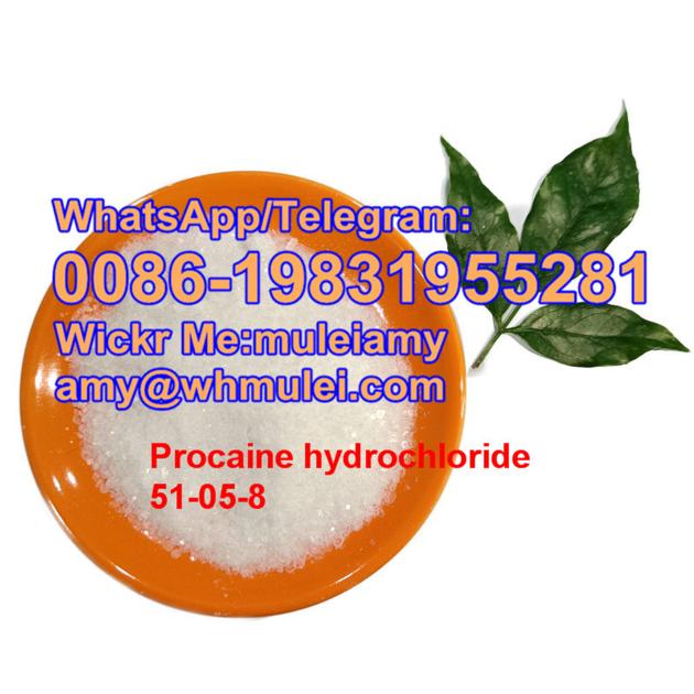 Procaine HCL Factory Procaine Hcl Powder