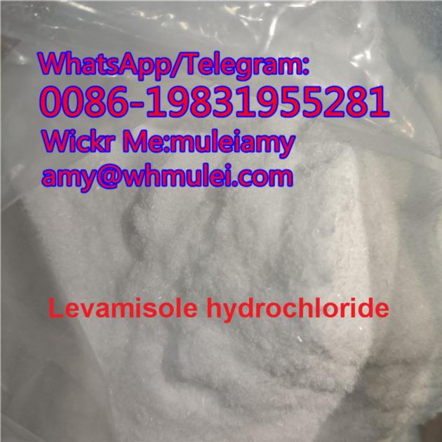 Levamisole powder levamizole hcl levamisole hydrochloride,buy levamisole,Whatsapp:0086-19831955281