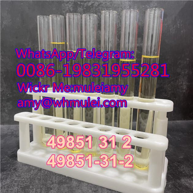 49851 31 2 Cas49851 31 2