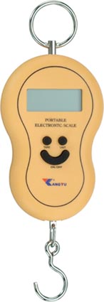 Portable Electronic Scale