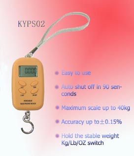 Portable Electronic Scale