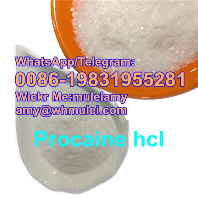 Procaine HCL Factory Procaine Hcl Powder