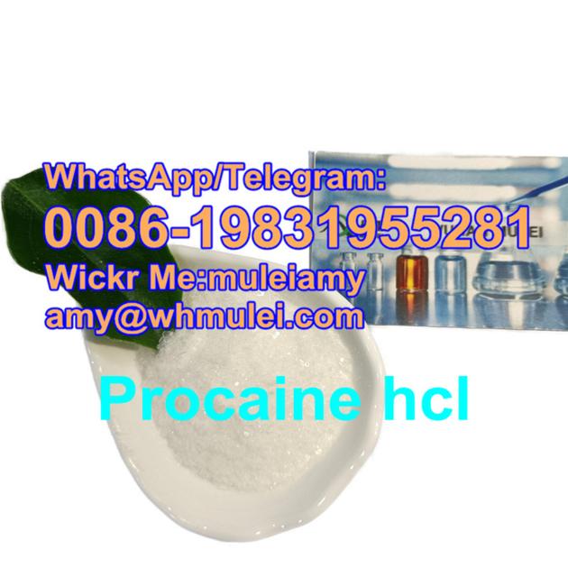 Procaine HCL Factory Procaine Hcl Powder