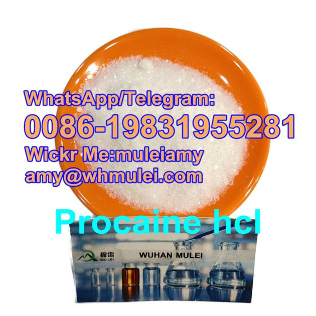  Procaine HCL factory Procaine hcl powder cas51-05-8,51058,Procaine hcl manufacturer