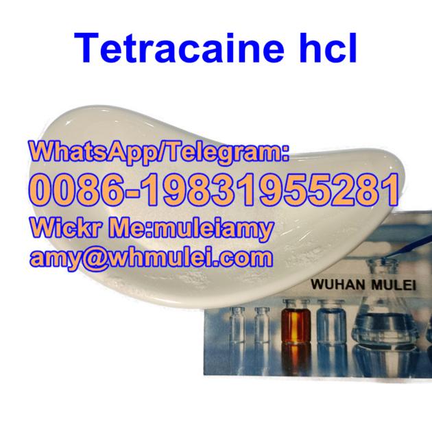 Tetracaine Hydrochloride 136 47 0 Tetracaine