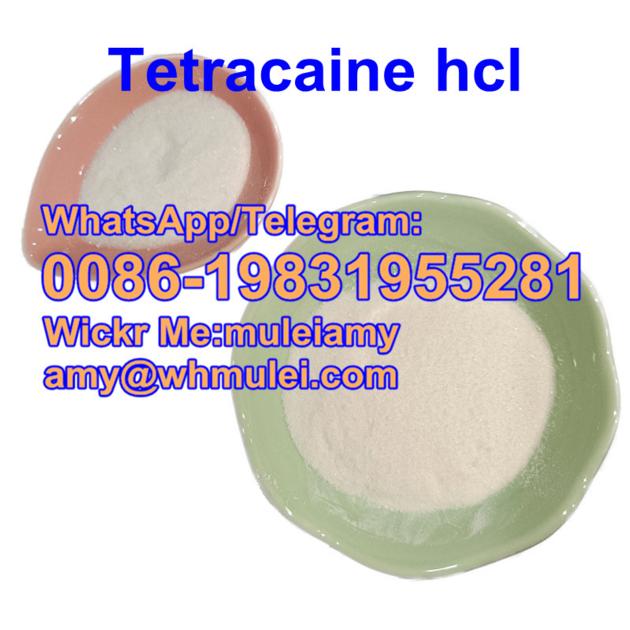 Tetracaine Hydrochloride 136 47 0 Tetracaine