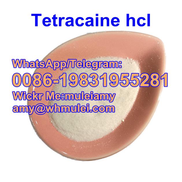 Tetracaine hydrochloride 136-47-0 Tetracaine hcl,Tetracaine hcl powder tetracaine price