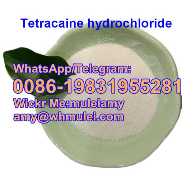 Tetracaine Hydrochloride 136 47 0 Tetracaine