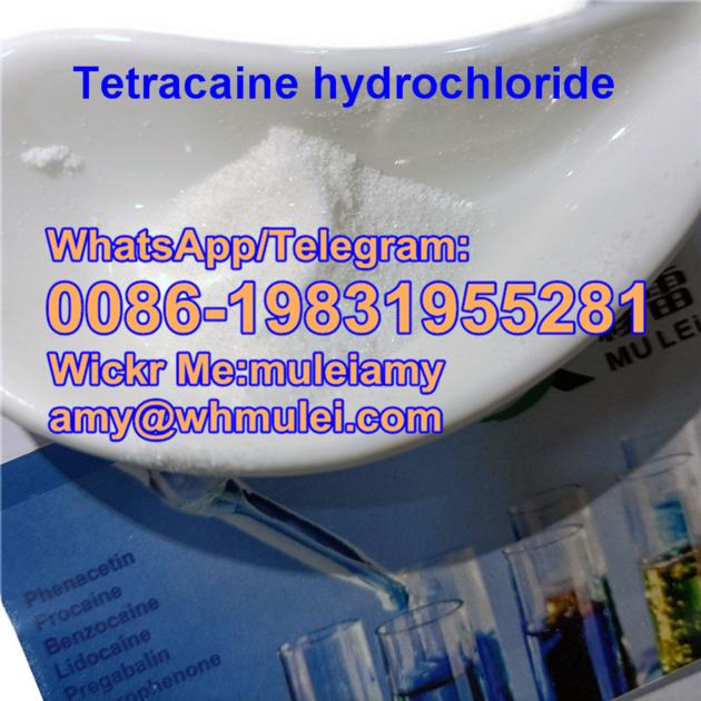 Tetracaine Hydrochloride 136 47 0 Tetracaine