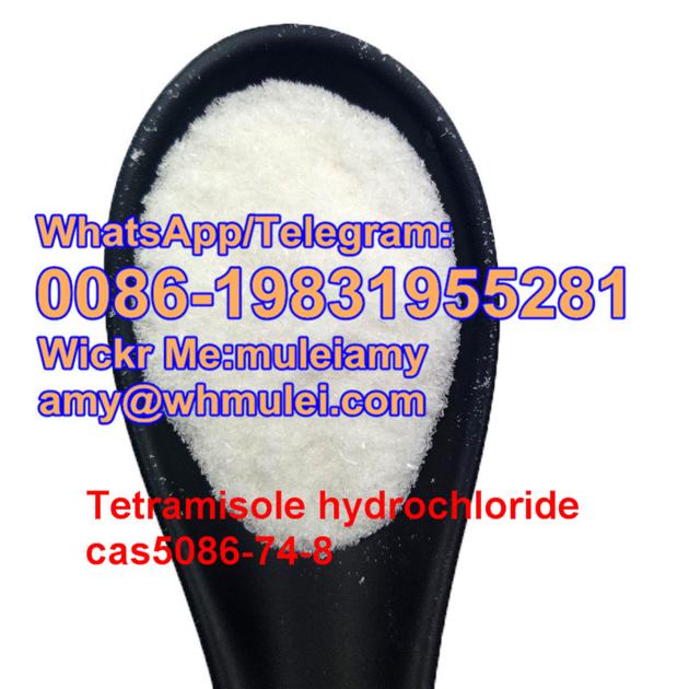 Tetramisole price,tetramisole powder,cas5086-74-8,Whatsapp:0086-19831955281,Wickr Me:muleiamy