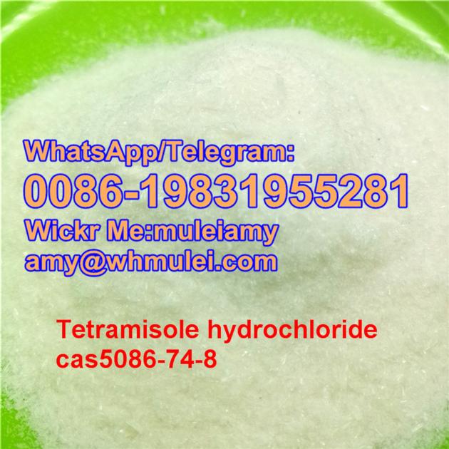 Levamisole powder levamizole hcl levamisole hydrochloride,buy levamisole,Whatsapp:0086-19831955281