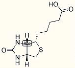 Vitamin B6 SERIES
