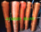 Diamond Brand Galvanized Wire Netting (color passivation)