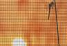 Sell diamond wire netting