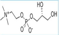 Choline glycerophosphate