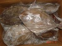 Frozen Black pomfret