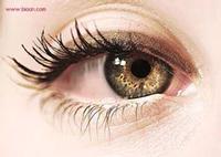 hyaluronic acid eyedrop grade