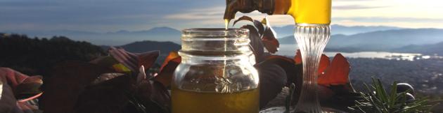 High Phenolic Organic Extra Virgin Olive