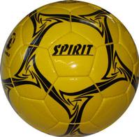 Trainer Balls