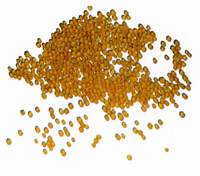 orange silica gel