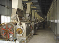 soybean pretreatment equipment