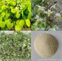 epimedium