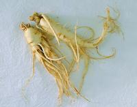Panax Ginseng Extract