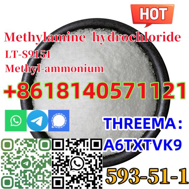 Buy 99% purity Methylamine Hydrochloride cas 593–51–1 for Pharmaceutical 20 GEL