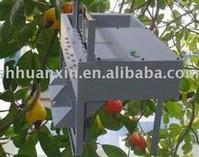 Cashew nut shelling machine 