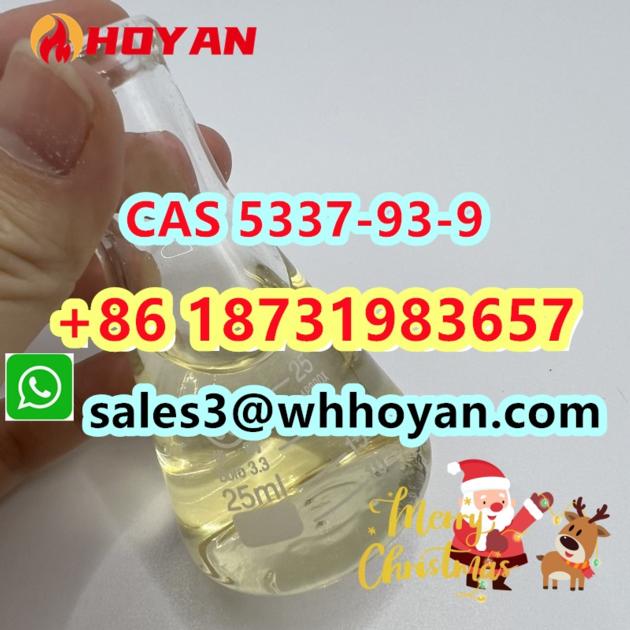 CAS 5337 93 9 Door To