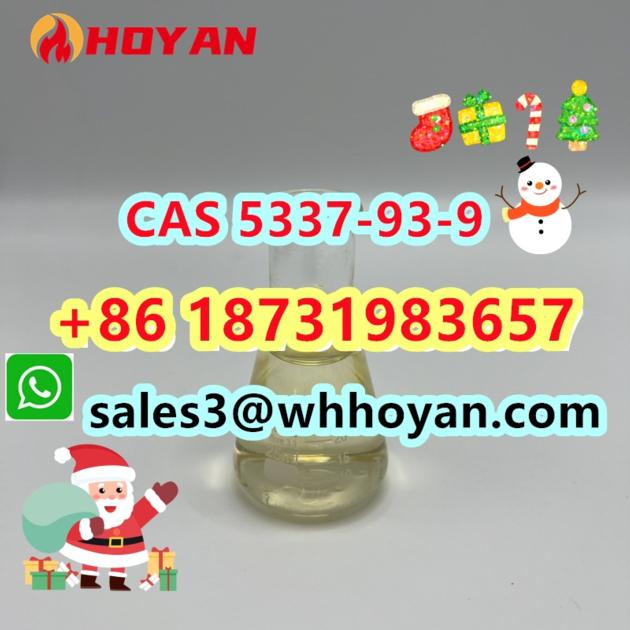 CAS 5337 93 9 Door To