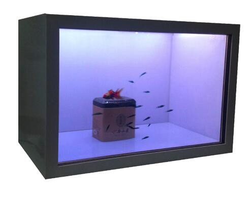 Transparent LCD Display Transparent LCD Showcase
