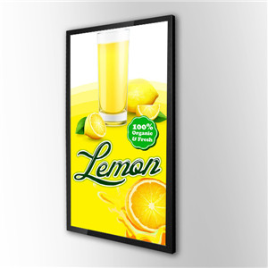 Wall Mounted LCD AD Display